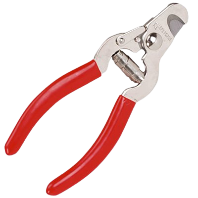 Clippers